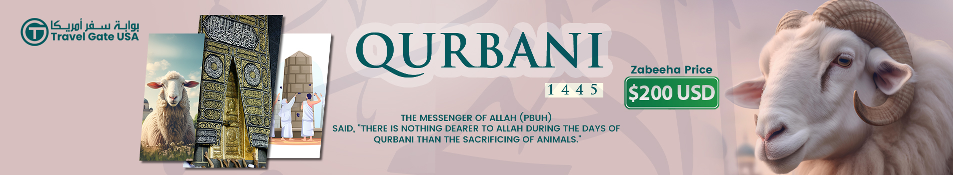 Qurbani 2024 SIT